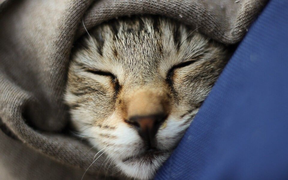 Paris - Bourg sleeper - ticket only